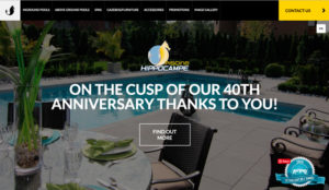 Great Example of a Hot Tub Dealership Website